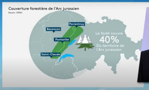 Filière forêt-bois dans l'Arc jurassien : l'étude de l'OSTAJ sur France 3