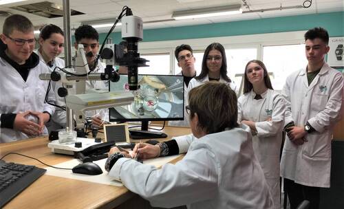 Les savoir-faire en mécanique horlogère et mécanique d’art inscrits à l’UNESCO