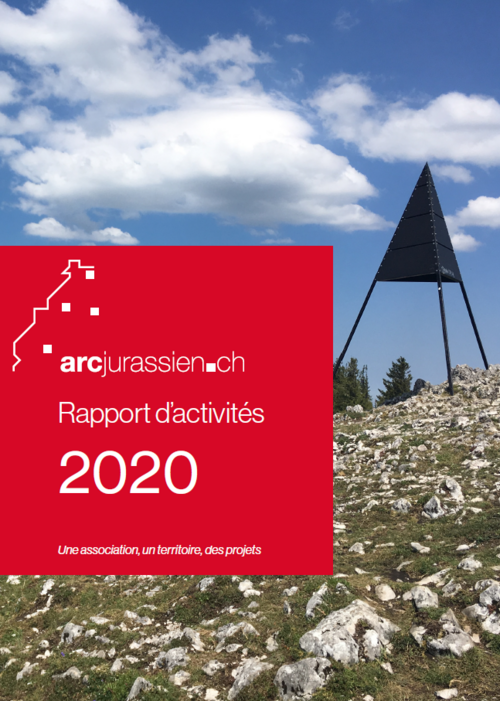 Rapport d'activités 2020