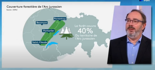 Filière forêt-bois dans l'Arc jurassien : l'étude de l'OSTAJ sur France 3